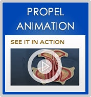 propel animation 2